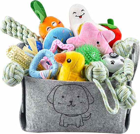 Puppyspeelgoedset (24-delig)