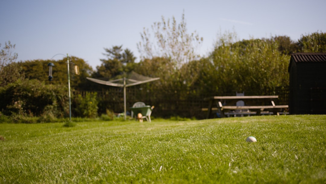 De 8 Beste Robotmaaiers van 2026