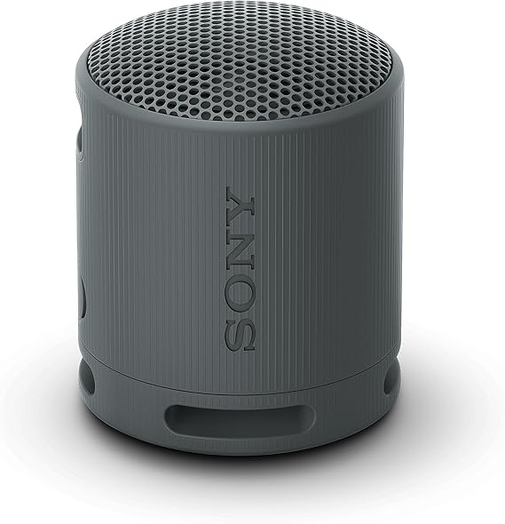 Sony SRS-XB100