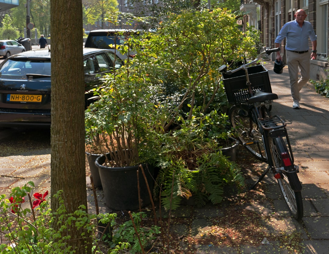De grote ontstening: waarom Nederland massaal tegels uit de tuin wipt